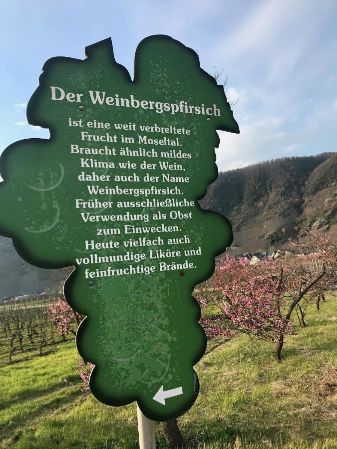 Residenz Moselzauber - Ferienwohnungen Mit Pool Landschaft エルンスト エクステリア 写真