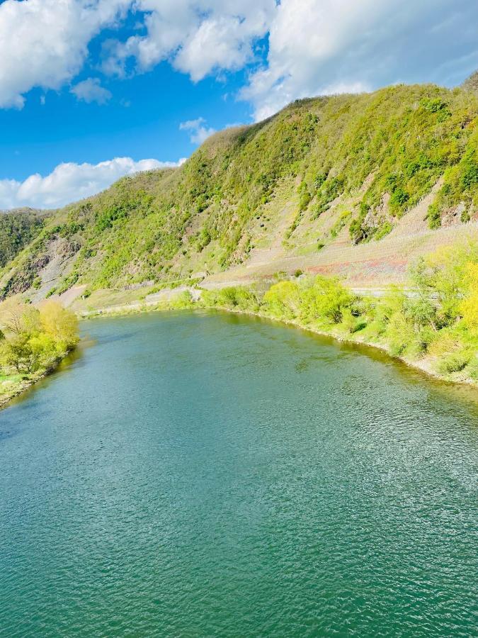 Residenz Moselzauber - Ferienwohnungen Mit Pool Landschaft エルンスト エクステリア 写真