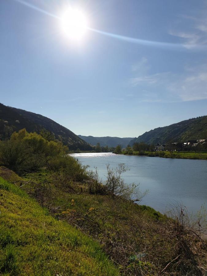 Residenz Moselzauber - Ferienwohnungen Mit Pool Landschaft エルンスト エクステリア 写真