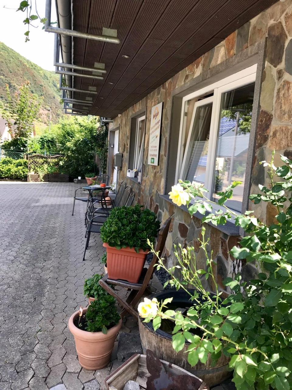 Residenz Moselzauber - Ferienwohnungen Mit Pool Landschaft エルンスト エクステリア 写真